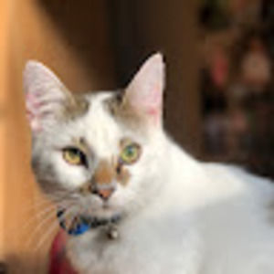 Meet your Posher, Lexi